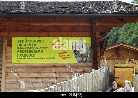Plakat 'Nein zum Wolf', Kampagne der Alpbauern gegen den Wolf, Italien, Südtirol, Latsch, St. Martin im Kofel Stockfoto