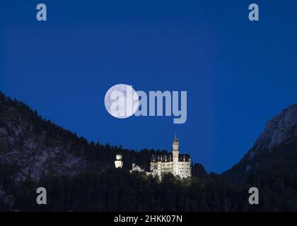 Schloss Neuschwanstein unter Vollmond, Komponieren, Deutschland, Bayern, Allgäu Stockfoto