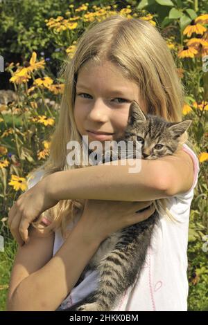 Hauskatze, Hauskatze (Felis silvestris f. catus), kleines blondes Mädchen, das glücklich ein Kätzchen auf dem Arm hält Stockfoto