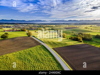 Bayerisches Alpenvorland im Herbst bei Weilheim, Drohnenbild, Deutschland, Bayern Stockfoto
