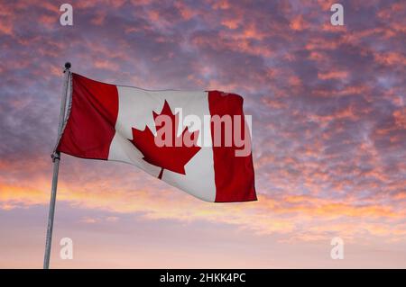 Flagge Kanadas, die auf einer Stange vor einem Sonnenaufgangshintergrund fliegt. Stockfoto