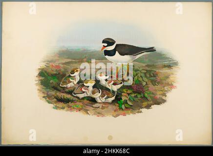 Kunst inspiriert von Aegialitis Hiaticula - Ringed Plover, John Gould, British, 1804-1881, Lithograph auf Wove-Papier, Blatt: 21 1/4 x 14 1/2 Zoll, 54 x 36,8 cm, Aegialitis Hiaticula, Vogel, Vögel, Küken, Familie, Lebensraum, Natur, Ornithologie, Ornithologie, Pflanzen und Tiere, Ringelpfeifer, Klassische Werke, die von Artotop mit einem Schuss Moderne modernisiert wurden. Formen, Farbe und Wert, auffällige visuelle Wirkung auf Kunst. Emotionen durch Freiheit von Kunstwerken auf zeitgemäße Weise. Eine zeitlose Botschaft, die eine wild kreative neue Richtung verfolgt. Künstler, die sich dem digitalen Medium zuwenden und die Artotop NFT erschaffen Stockfoto