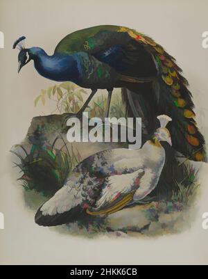 Kunst inspiriert von Pavo Nigripennis - Schwarzes schultertes Erbsen-Geflügel, Lithograph in Farbe auf Gewebspapier, 23 1/4 x 18 1/8 Zoll, 59,1 x 46 cm, Vogel, Vögel, Schwarzes schultertes Erbsen-Geflügel, Lebensraum, Natur, Ornithologie, Ornithologie, Pavo Nigripennis, Pfau, Pflanzen und Tiere, Arten, Tierwelt, Klassische Werke, die von Artotop mit einem Hauch von Moderne modernisiert wurden. Formen, Farbe und Wert, auffällige visuelle Wirkung auf Kunst. Emotionen durch Freiheit von Kunstwerken auf zeitgemäße Weise. Eine zeitlose Botschaft, die eine wild kreative neue Richtung verfolgt. Künstler, die sich dem digitalen Medium zuwenden und die Artotop NFT erschaffen Stockfoto