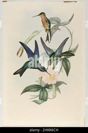 Kunst inspiriert von Pterophanes Temmincki: Temmincks Summing Bird, John Gould, British, 1804-1881, Lithograph in Farbe auf Wove-Papier, 21 1/2 x 14 3/8 Zoll, 54,6 x 36,5 cm, Klassische Werke, die von Artotop mit einem Schuss Moderne modernisiert wurden. Formen, Farbe und Wert, auffällige visuelle Wirkung auf Kunst. Emotionen durch Freiheit von Kunstwerken auf zeitgemäße Weise. Eine zeitlose Botschaft, die eine wild kreative neue Richtung verfolgt. Künstler, die sich dem digitalen Medium zuwenden und die Artotop NFT erschaffen Stockfoto