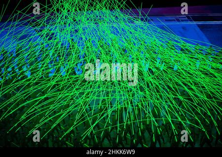Peking, China. 04th. Februar 2022. Kredit: Aflo Co. Ltd./Alamy Live Nachrichten Stockfoto