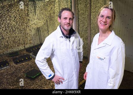 Pfungstadt, Deutschland. 18th Januar 2022. Christian und Luisa Benning, die beiden Geschäftsführer der Probenda GmbH, stehen am Firmensitz vor dem Flugkäfig, in dem der schwarze Soldat (lat. hermetia illucens) seine Eier legt. Seit Frühjahr 2021 verarbeitet das Unternehmen die Larve der schwarzen Soldatenfliege zu hochwertigem Proteinmehl und -Fett. Kredit: Arne Dedert/dpa/Alamy Live Nachrichten Stockfoto