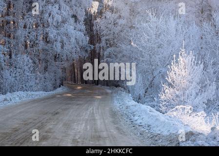 Erstaunlicher Winterblick mit Straße, verschneiten Wald mit Bäumen und Sträuchern in schönem Raureif und Sonnenschein an einem frostigen Tag Stockfoto