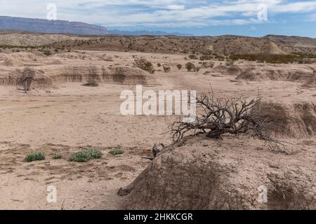 Erodierte Badlands im Big Bend National Park. Stockfoto