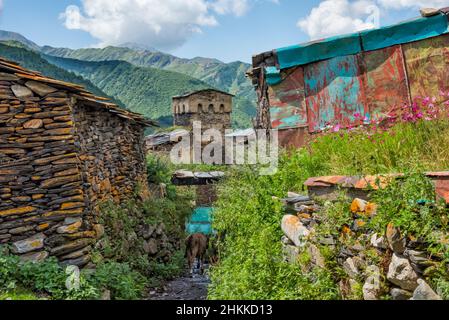 Svan Steinhaus im Kaukasus Berg, Ushguli, Svaneti Region, Georgien Stockfoto