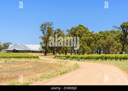 Zufahrt über Schotterstraße, vorbei an Weinrebenreihen, zur Kellertür der Frankland Estate Winery, Frankland River, Western Australia, Australien Stockfoto