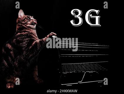 Foto von einer Hauskatze mit kurzem Haar, die einen Einkaufswagen schiebt, 3G Text Stockfoto