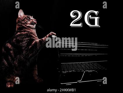 Foto von einer inländischen Kurzhaarkatze, die einen Warenkorb schiebt, auf Foto shopped, 2G Text Stockfoto