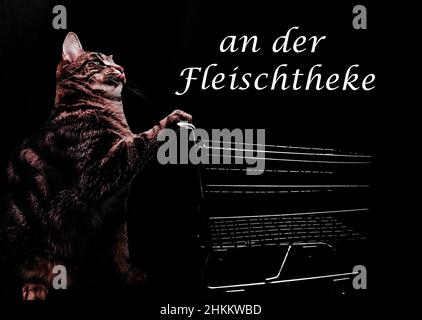 Fotoshopped Foto einer heimischen Kurzhaarkatze, die einen Einkaufswagen schiebt, an der fleischtheke Text Stockfoto