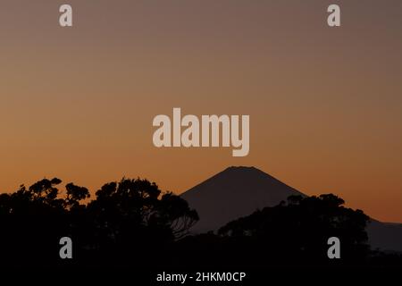 Mount Fuji bei Sonnenuntergang hinter Bäumen auf Enoshima Island, Kanagawa, Japan. Stockfoto