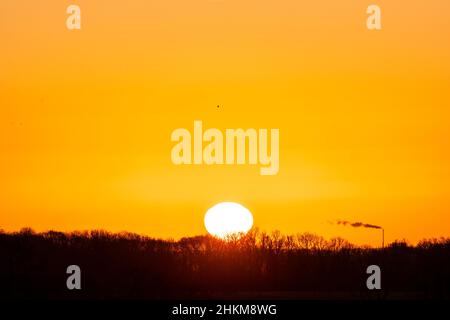 Teleaufnahme des Sonnenaufgangs durch einige weit entfernte Bäume am Horizont von Kent, während rechts ein hoher Kamin einen Rauchstrom ausströmt. Gelber Himmel mit einigen Bändern von Cirrostratus Wolke oben. Stockfoto