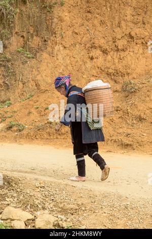 Eine ältere Frau aus dem Hmong-Stamm geht mit einem schweren Korb auf dem Rücken in Richtung Sapa (Sa Pa), Provinz Lao Cai, Vietnam, Südostasien Stockfoto