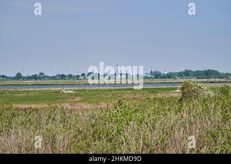 Ländliche Landschaft mit Kirche eines kleinen Dorfes und Sümpfen, aber durch Windkraftanlagen verschmutzt, an der Küste der ostsee Stockfoto