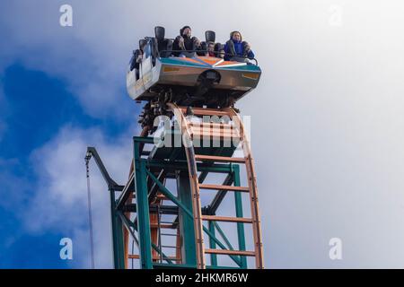 Oakwood Theme Park, Speed No Limits Rollercoaster, Megafobia Holz Rollercoaster und Halloween Shots Stockfoto