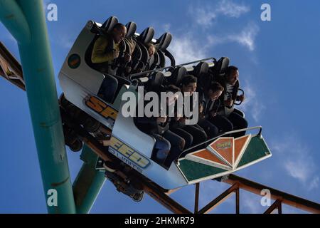 Oakwood Theme Park, Speed No Limits Rollercoaster, Megafobia Holz Rollercoaster und Halloween Shots Stockfoto