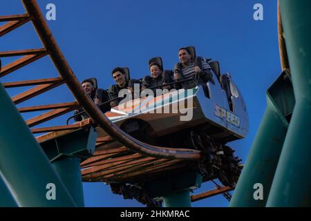 Oakwood Theme Park, Speed No Limits Rollercoaster, Megafobia Holz Rollercoaster und Halloween Shots Stockfoto