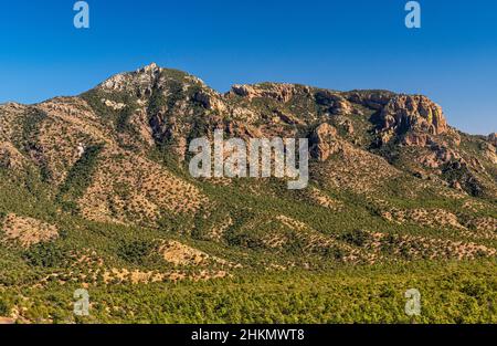 Silver Peak Massiv, Coronado National Forest, Chiricahua Mountains, Blick von der Cave Creek Road (FR 42), in der Nähe von Portal, Arizona, USA Stockfoto