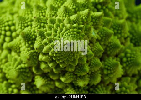 Romanesco auch bekannt als römischer Blumenkohl, Broccolo Romanesco, romanischer Blumenkohl, Art Brassica oleracea Stockfoto