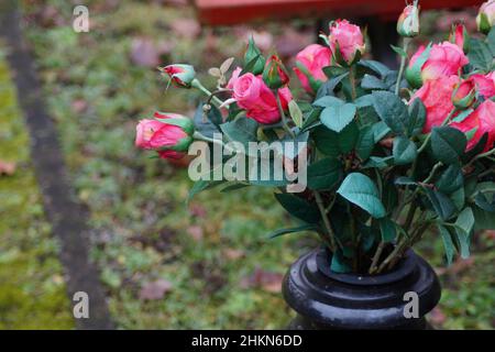 Blumenstrauß auf einem Grabstein Stockfoto