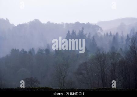 Die bewaldeten Hügel des Lake District sind von Nebel umhüllt Stockfoto