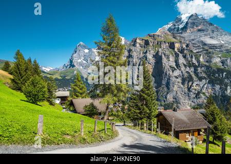 Blick auf die Straße und Wanderweg in der Nähe von Holzhütten im berühmten Murren Resort, Lauterbrunnen Tal, Berner Oberland, Schweiz, Europa Stockfoto