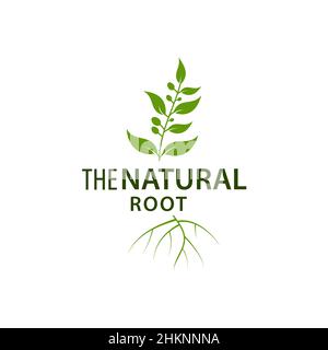 Blattwurzel Logo natürlichen Baum Vorlage Vektor Illustration Design Stock Vektor