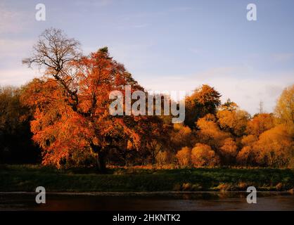 Malerisches Herbstlandschaftsfoto des Boyne-Tals Stockfoto