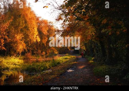 Malerisches Herbstlandschaftsfoto des Boyne-Tals Stockfoto