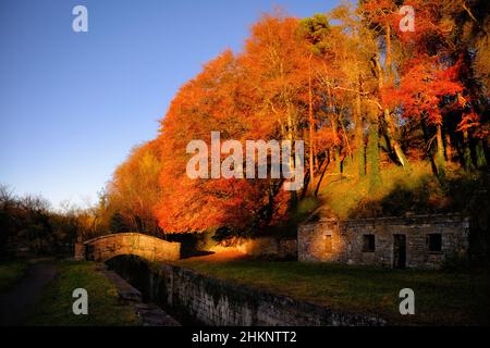 Malerisches Herbstlandschaftsfoto des Boyne-Tals Stockfoto