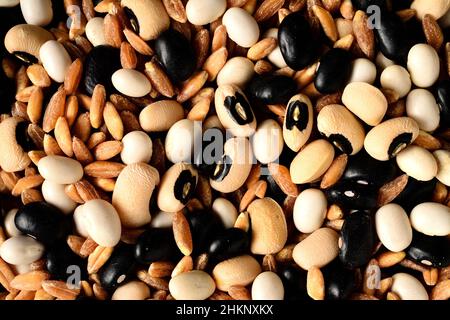 Weiße Bohnen, schwarze Bohnen, schwarze Erbsen und Dinkelkörner. Stockfoto