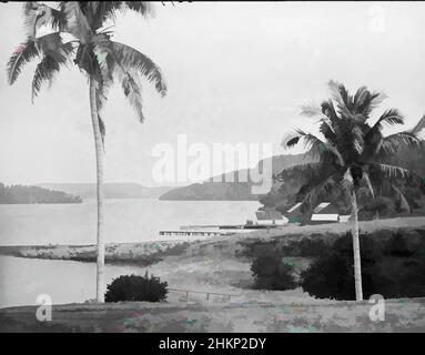 Kunst inspiriert von Neiafu, Vavau, Tonga, Burton Brothers Studio, Fotostudio, Juli 1884, Neuseeland, Schwarz-Weiß-Fotografie, Foreshore mit hohem Kokosnussbaum links, kleinere rechte, koloniale Gebäude am Wasserrand mit Steg. Im Hintergrund niedrig ansteigendes Land aus dem Meer, Classic Works modernisiert von Artotop mit einem Schuss Moderne. Formen, Farbe und Wert, auffällige visuelle Wirkung auf Kunst. Emotionen durch Freiheit von Kunstwerken auf zeitgemäße Weise. Eine zeitlose Botschaft, die eine wild kreative neue Richtung verfolgt. Künstler, die sich dem digitalen Medium zuwenden und die Artotop NFT erschaffen Stockfoto