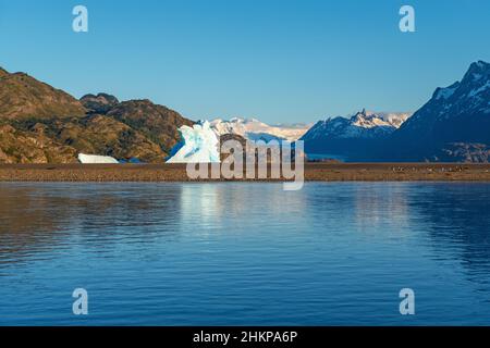 Eisberg am Grey Lake mit Grey Glacier im Hintergrund bei Sonnenaufgang, Torres del Paine Nationalpark, Patagonien, Chile. Stockfoto