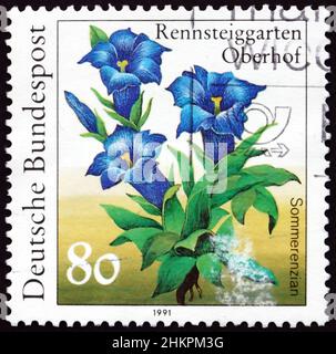 DEUTSCHLAND - UM 1991: Eine in Deutschland gedruckte Marke zeigt gentiana, blühende Pflanze, um 1991 Stockfoto