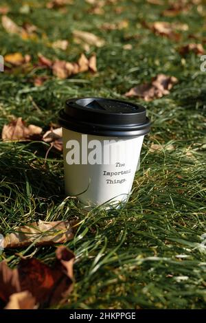 Nahaufnahme eines Takeaway-Papierbechers im Gras, der die wichtigen Dinge in Green Park, London, Großbritannien, sagt Stockfoto