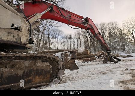 Nahaufnahme des Knuckleboom Blockladers mit frisch geernteten und gestapelten Holzstämmen Stockfoto