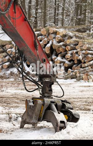 Nahaufnahme des Holzgreifers auf dem Knickleboom Holzlader mit frisch geernteten und gestapelten Holzstämmen Stockfoto