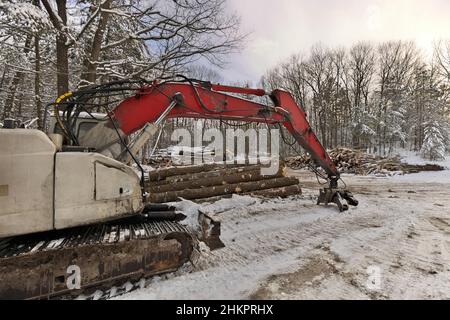 Nahaufnahme des Knuckleboom Blockladers mit frisch geernteten und gestapelten Holzstämmen Stockfoto