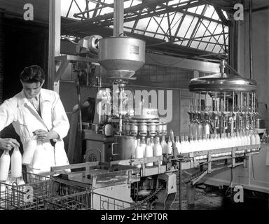 Abfüllanlage für Milch. Abfüll- und Verschließmaschine für Milch. Hohe Geschwindigkeit. Getränk Stockfoto