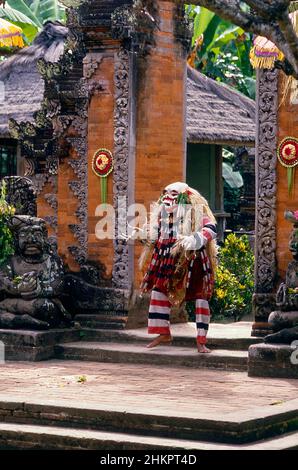 Ein männlicher Performer oder Tänzer, der in einer traditionellen balinesischen Barong- und Kris-Tanzshow tanzt. Stockfoto