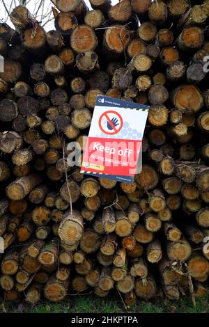 Gefahrenschilder an frisch geschnittenen Holzstapeln im Forest of Dean. Etikettiert bereit für den Transport.Baumstämme. Große, frisch gefällte, beschriftete Holzstämme. Stockfoto