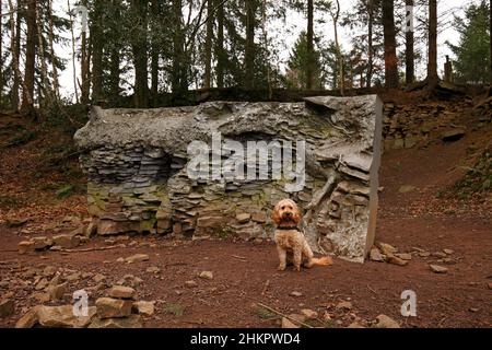 Echo Annie Cattrell 2008. Eine Ausstellung über den Skulpturenpfad „Forest of Dean“ mit zeitgenössischen permanenten und temporären Skulpturen im gesamten Wald Stockfoto