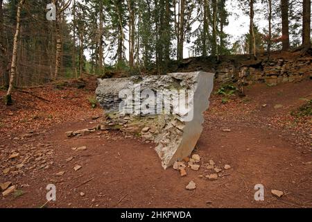 Echo Annie Cattrell 2008. Eine Ausstellung über den Skulpturenpfad „Forest of Dean“ mit zeitgenössischen permanenten und temporären Skulpturen im gesamten Wald Stockfoto