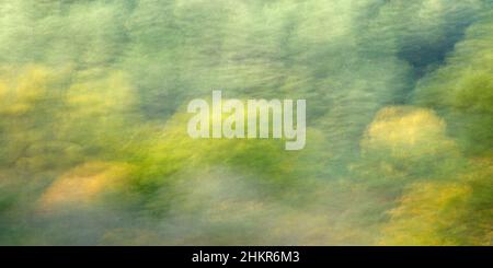 Abstrakte Woodland-Bilder aus Spanien Stockfoto