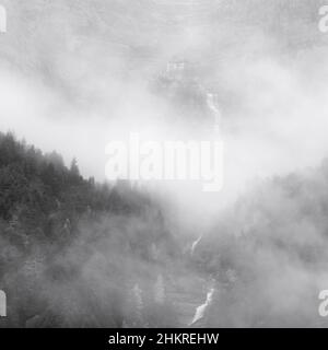Nebliges Herbstwetter im Pineta-Tal Stockfoto