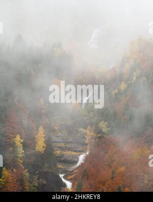 Nebliges Herbstwetter im Pineta-Tal Stockfoto