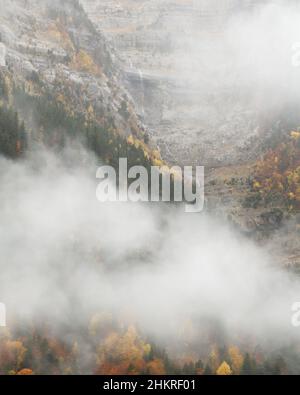 Nebliges Herbstwetter im Pineta-Tal Stockfoto